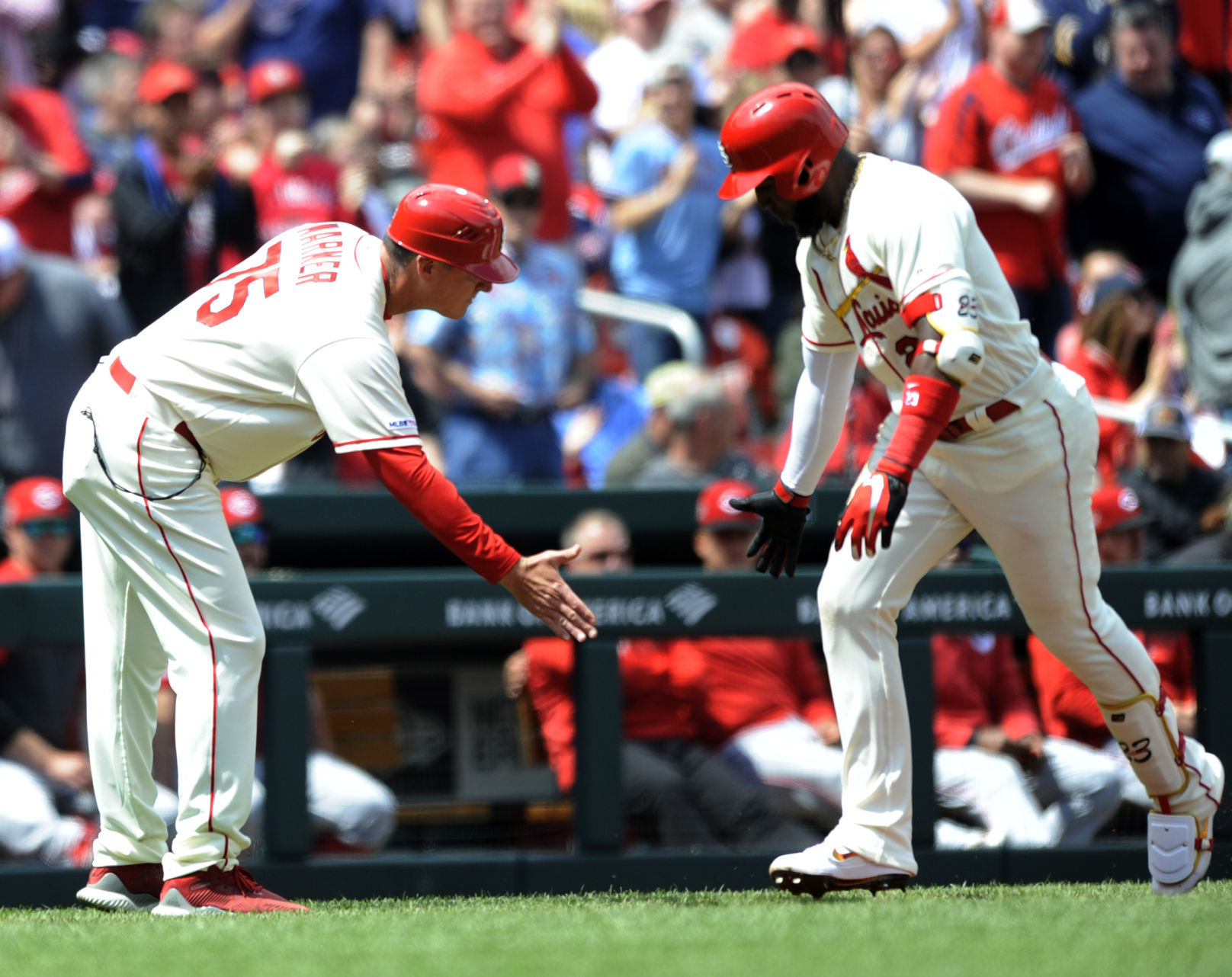 Reds Cardinals Baseball